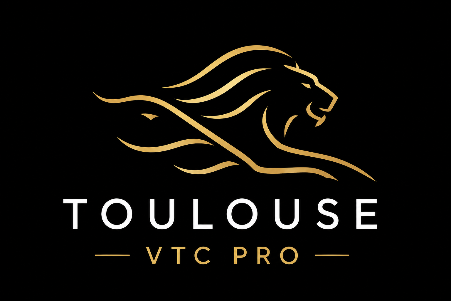 Toulouse VTC Pro